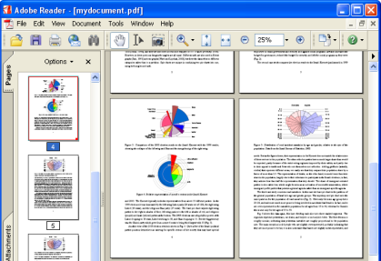 Documento PDF