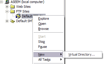 virtual directory