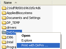 stampare con dirprin
