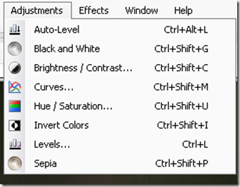 Adjustments1