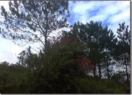 clip_image028