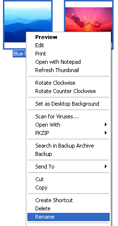 rename files