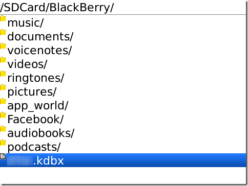 Blackberry Memory Card