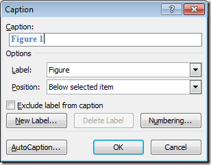 Insert Caption Options Window
