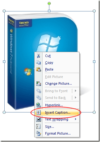 Select Insert Caption from the Menu