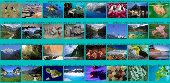 images thumbnail