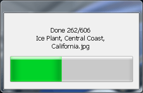 processing images