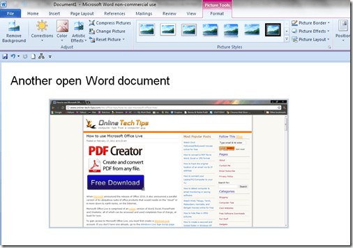 Screenshot in Word Doc