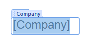Company Field Inserted Into Document