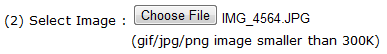 choose file