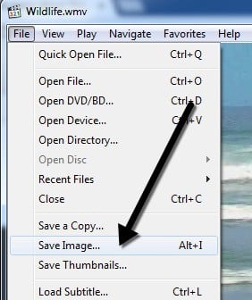 How to Capture Still Images from a Video or DVD - 43