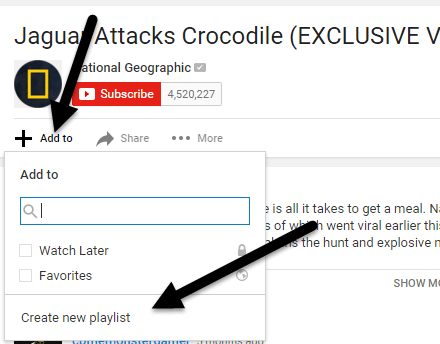 Link youtube loop Link youtube loop