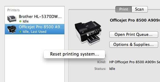 Reset printing system