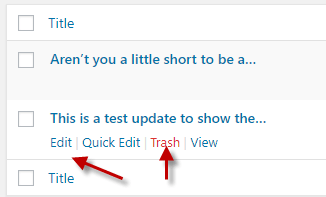 How To Set Up Your Own Twitter Like Website Using WordPress  P2 Theme - 56