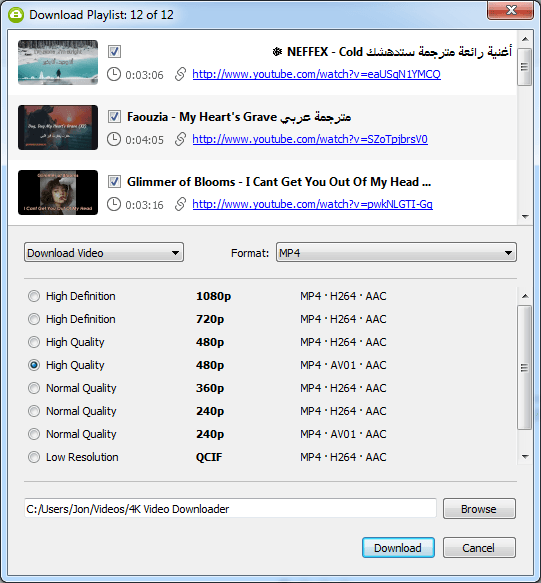 How To Download Complete YouTube Playlists image 5