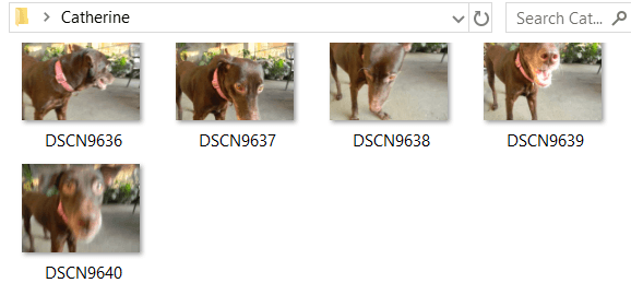 n-best-printers-for-printing-checks-8-compressed - Help Desk Geek Use the Mail Recipient Hack image