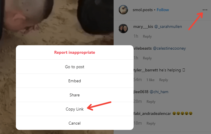 Download Instagram Videos image