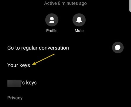 Verifying Secret Conversations on Facebook Messenger image 2