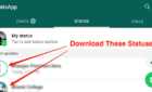 How To Download Photos & Videos In WhatsApp Status On Android image