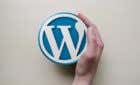 10 Essential WordPress Plugins For a Small Business Website image
