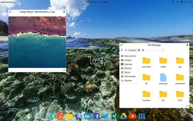 Leena Desktop UI image