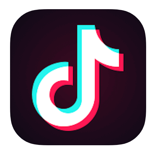 The Beginner&#8217;s Guide To TikTok: What It Is, How To Get Started On It image 2