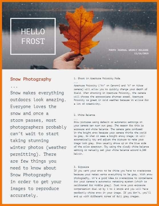 15 Free Newsletter Templates You Can Print or Email image 15