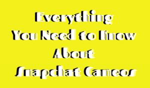 SNAPCHAT CAMEOS EVERYTHING YOU NEED TO KNOW visual data 4