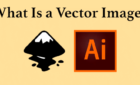 What Is a Vector Image & How To Make & View One image