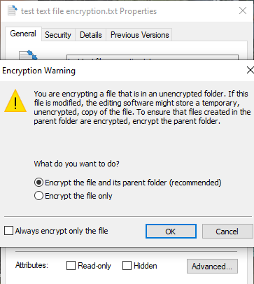 Windows Encrypting File System image 2