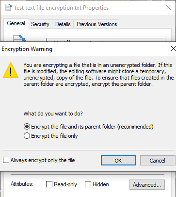 encrypting file system choose type