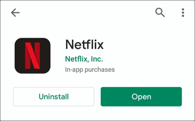 what is netflix download