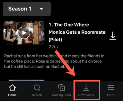 How To Download Shows and Movies From Netflix