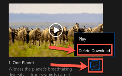 How To Download From Netflix On Windows image 7