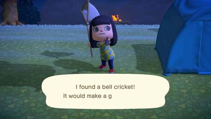 How To Get Started In Animal Crossing: New Horizons image 5