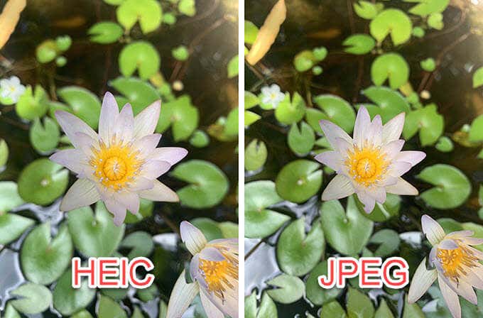 HEIC vs. JPEG – Quality image