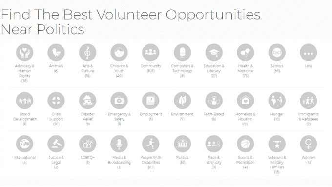 Search for “Virtual Volunteer” Sites Online image