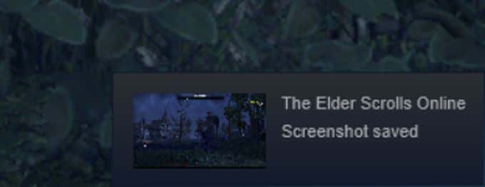 How To Take a Screenshot On Steam image 3