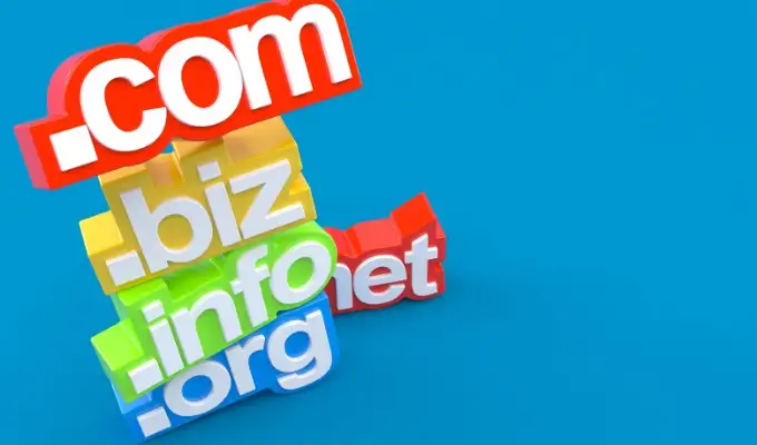 domain-name - Online Tech Tips What Is a Custom Domain and How to Set One Up image