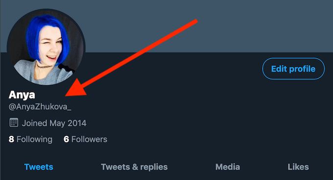 Where to Find Your Twitter Display Name and Handle image
