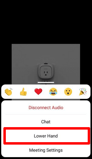 How to Lower Your Hand in a Zoom Meeting image 2