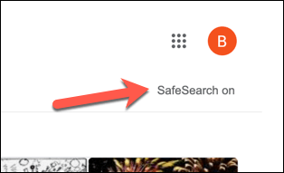 6 PC Google SafeSearch Label
