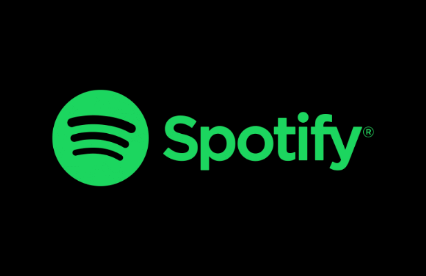 How to Fix Spotify Error Code 4 image
