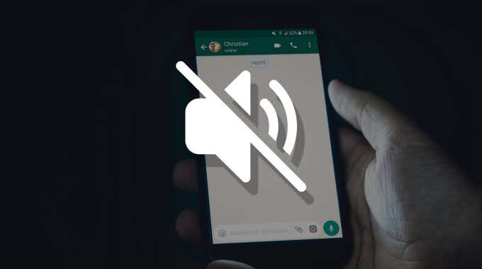 What Happens When You Mute Someone on WhatsApp - 70