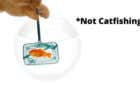 What Is Catfishing and How to Recognize It on Social Media image