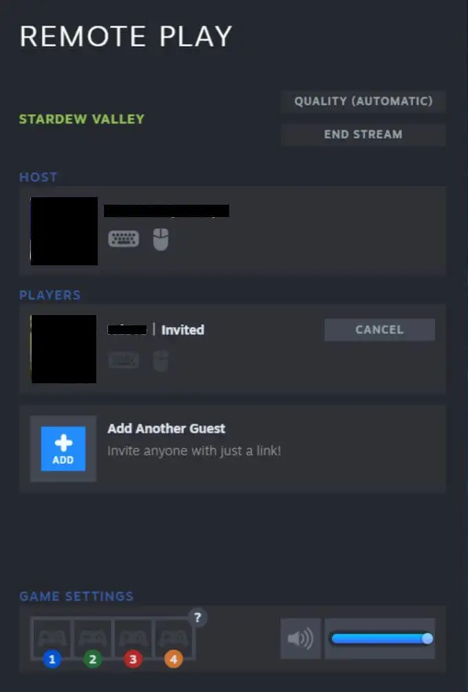 Steam Remote Play