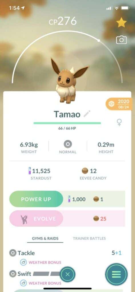Evolve Eevee By Naming Them image