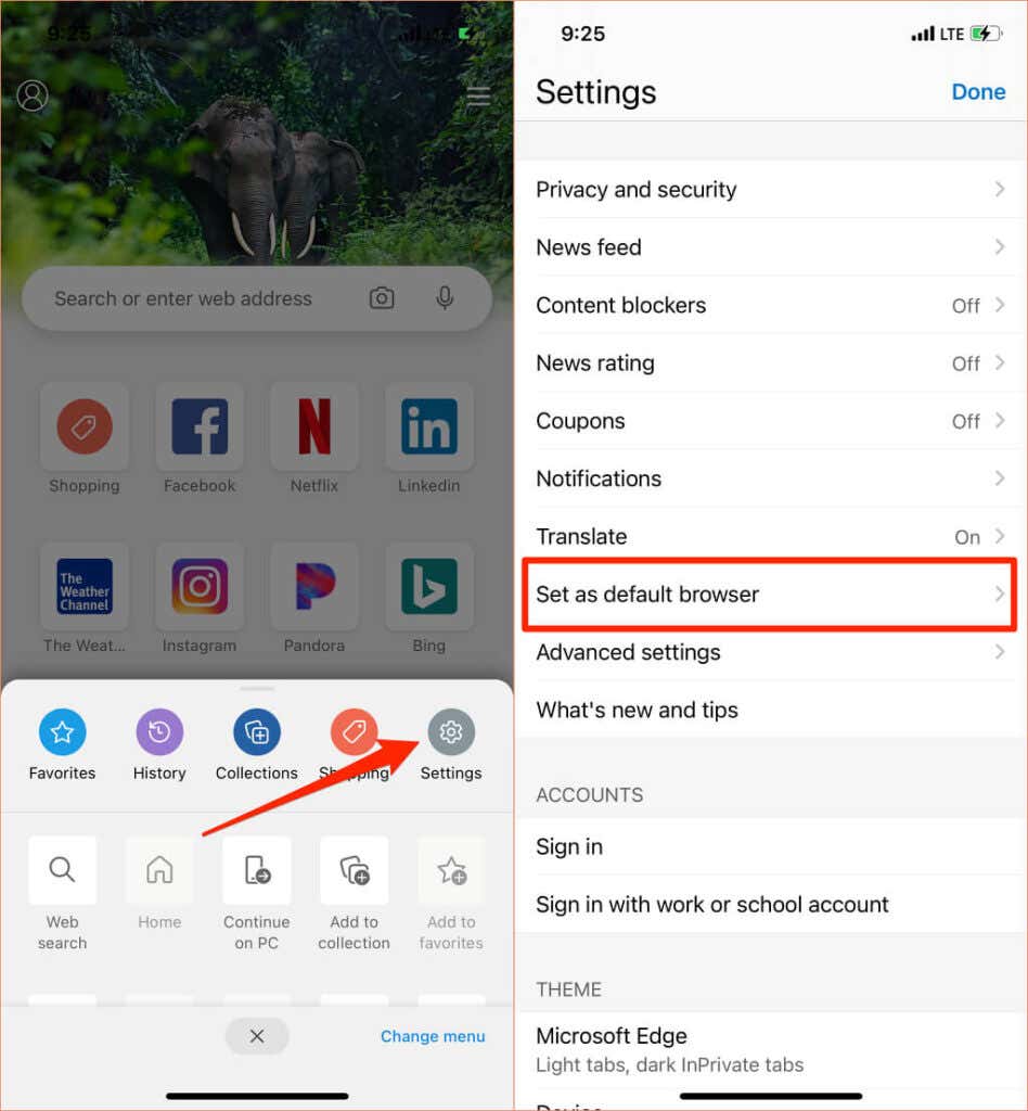 Change Default Browser on iPhone and iPad image 4