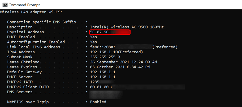 assign ip address command line windows