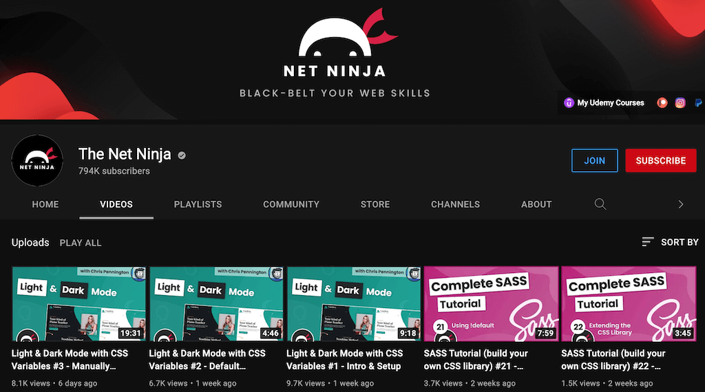The Net Ninja image